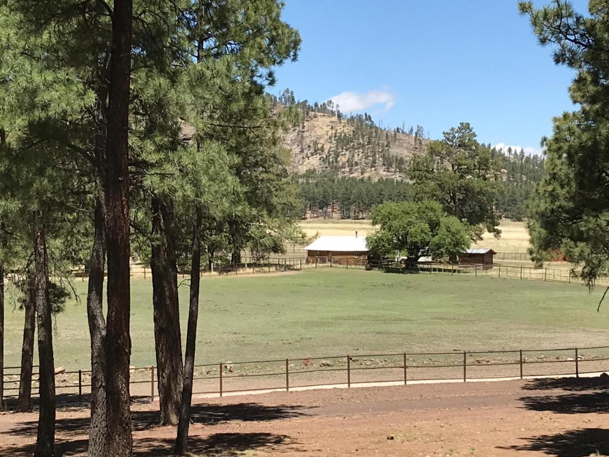 Grand Canyon 1Bd Loft/Suite-Horseback Riding-Shooting-Dogs Ok! Parks ภายนอก รูปภาพ